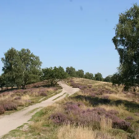 Well-kept Near The Maasduinen Belfeld